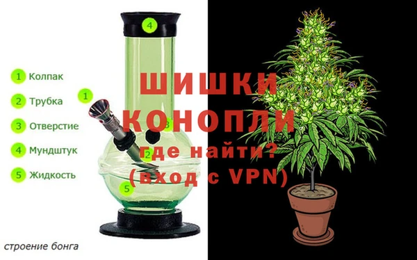 сатива Волосово