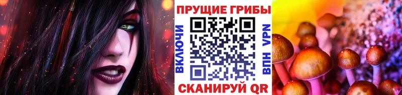 Псилоцибиновые грибы GOLDEN TEACHER  Купить  Надым 