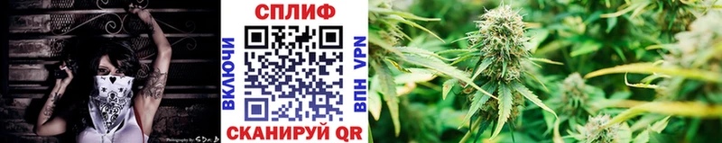 Шишки марихуана Amnesia Надым